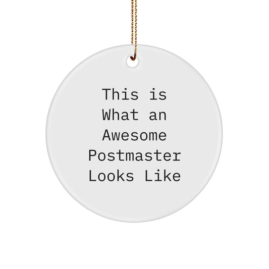 Funny Postmaster Gifts from Men to Awesome Postmasters, This Is What An Awesome Postmaster Looks Like Circle Ornament for Christmas