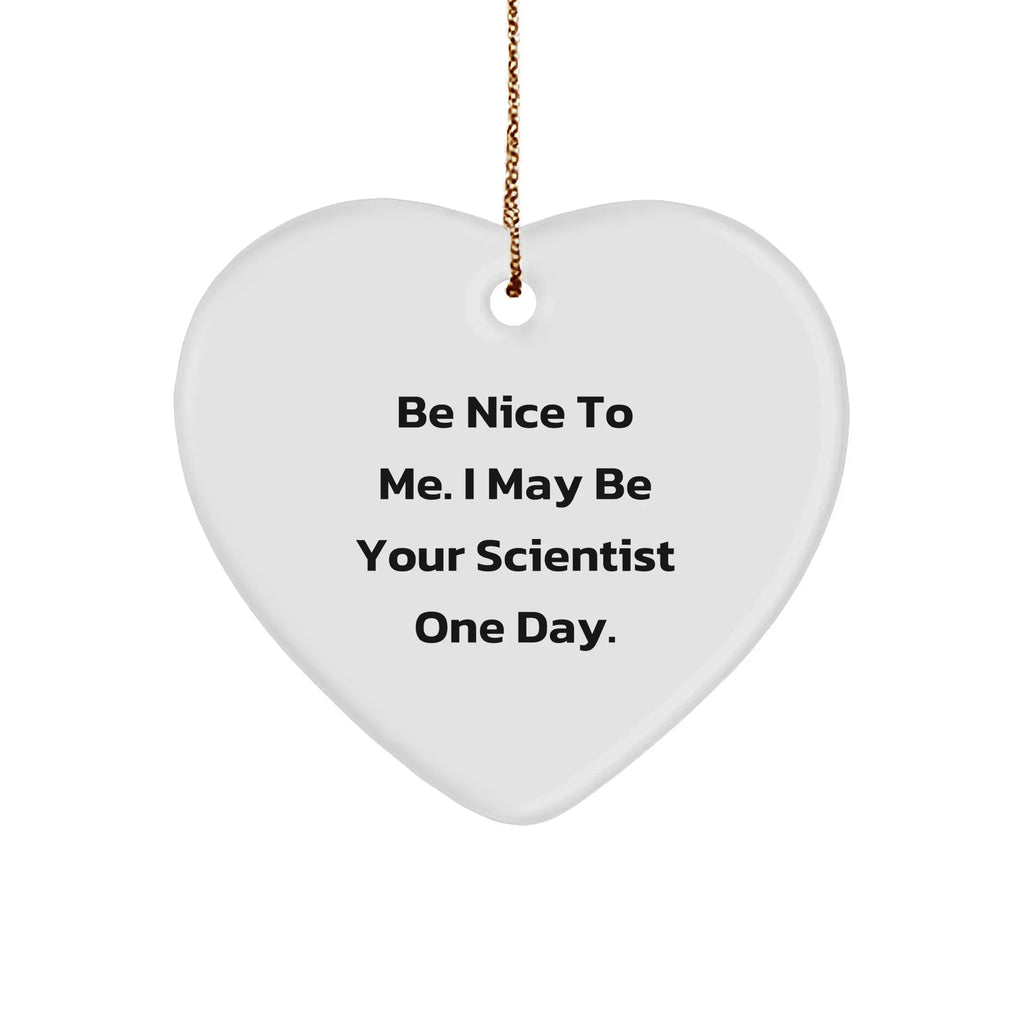 Funny Scientist Gifts from Friends for Christmas - Heart Ornament with 'Be Nice To Me. I May Be Your Scientist One Day.' Quote, White, 2.75' Tall