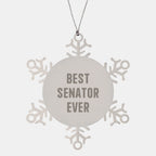 Funny Senator Gifts, Snowflake Ornament, 'Best Senator Ever' Quote, Stainless Steel, Shatterproof, Christmas Unique Gifts from Friends to Senator