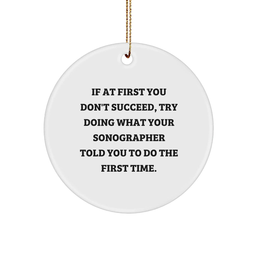 Funny Sonographer Gifts from Friends - If At First You Don't Succeed, Try Doing What Your Sonographer Told You To Do The First Time. Circle Ornament for Christmas