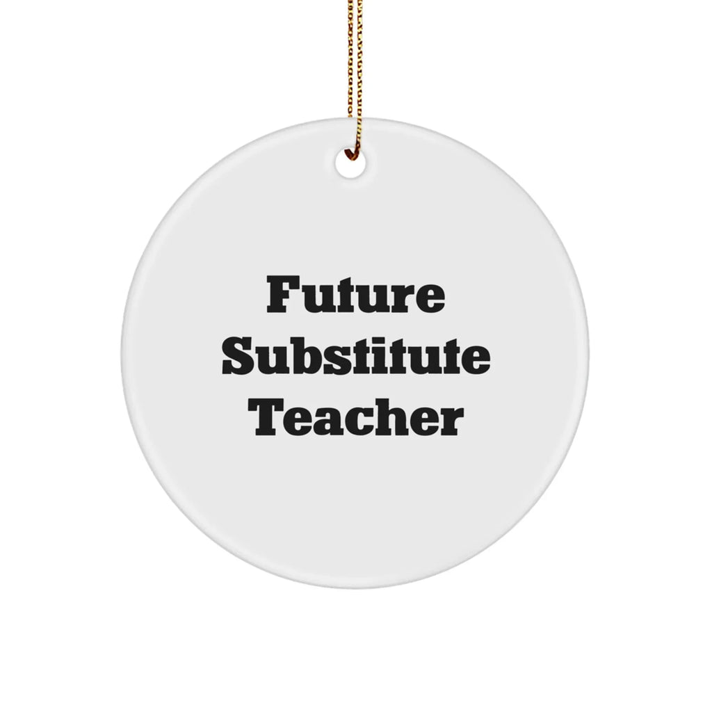 Funny Substitute Teacher Gifts for Future Educators, Circle Ornament with Inspirational Quote, Christmas Unique Gifts from Friends, Coworkers, or Family