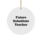 Funny Substitute Teacher Gifts for Future Educators, Circle Ornament with Inspirational Quote, Christmas Unique Gifts from Friends, Coworkers, or Family