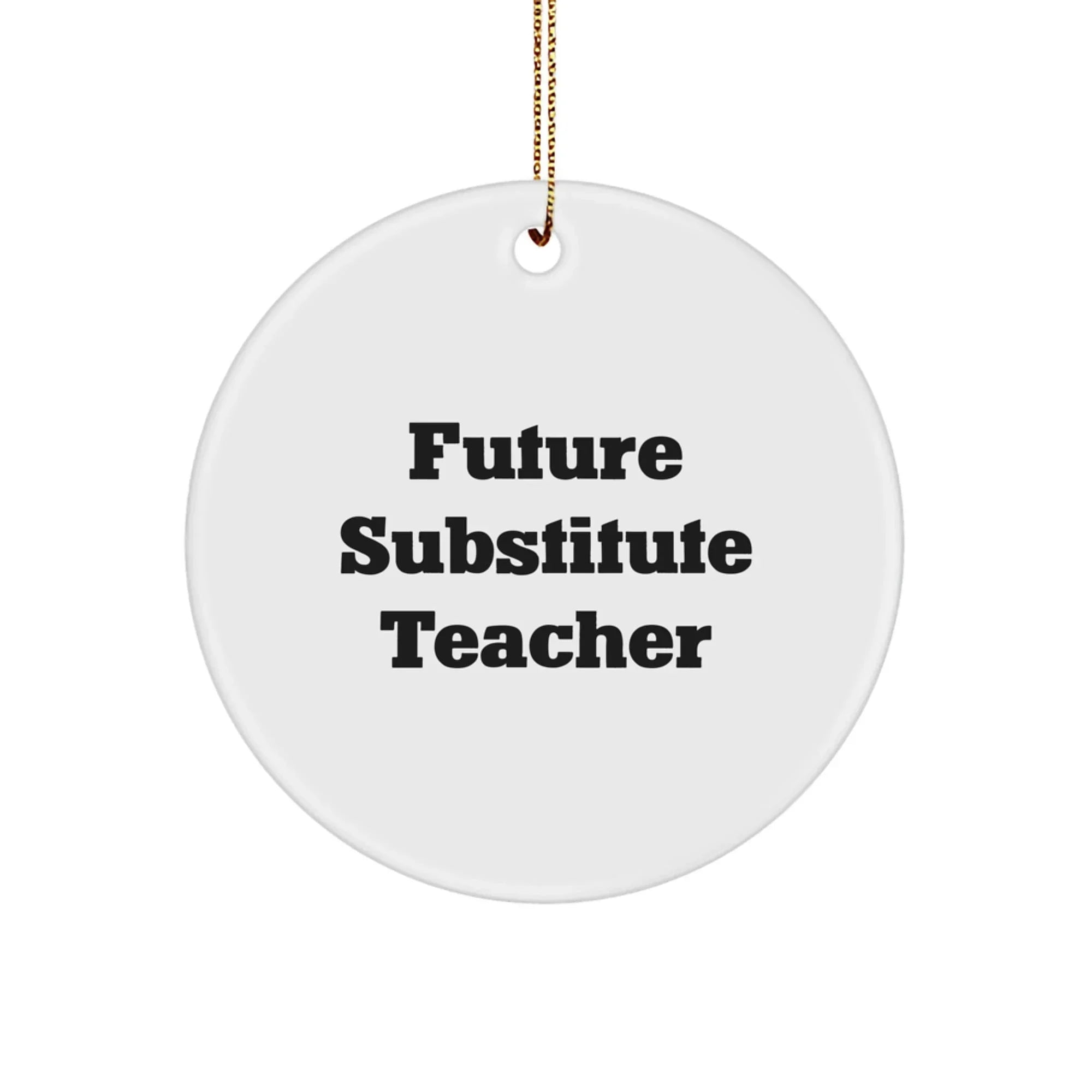 Funny Substitute Teacher Gifts for Future Educators, Circle Ornament with Inspirational Quote, Christmas Unique Gifts from Friends, Coworkers, or Family
