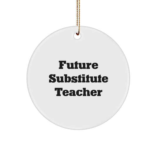 Funny Substitute Teacher Gifts for Future Educators, Circle Ornament with Inspirational Quote, Christmas Unique Gifts from Friends, Coworkers, or Family