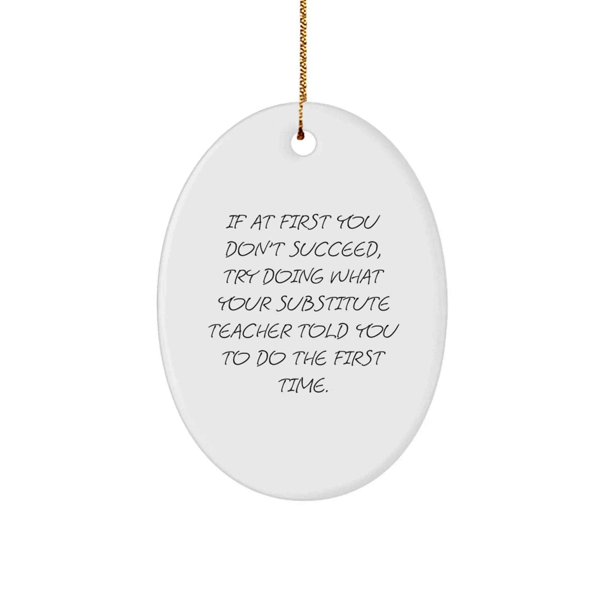 Funny Substitute Teacher Gifts for Men, Women, Friends, or Coworkers - Oval Ornament - If At First You Don't Succeed, Gifts from Family, Christmas Unique Gifts for Substitute Teacher