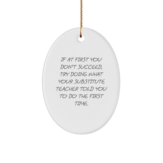 Funny Substitute Teacher Gifts for Men, Women, Friends, or Coworkers - Oval Ornament - If At First You Don't Succeed, Gifts from Family, Christmas Unique Gifts for Substitute Teacher