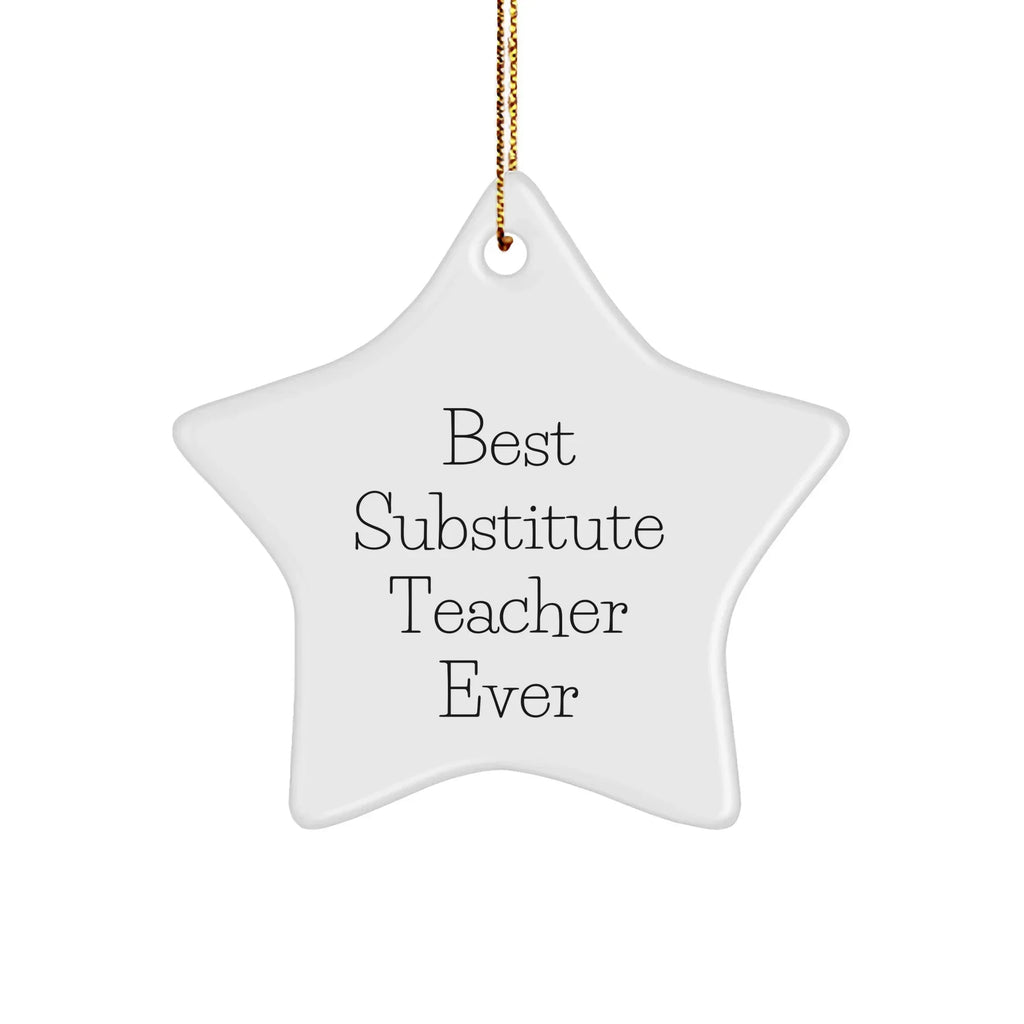 Funny Substitute Teacher Gifts from Family - Best Substitute Teacher Ever Star Ornament for Christmas
