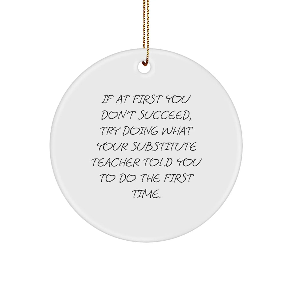 Funny Substitute Teacher Gifts from Friends to Men - 'If At First You Don't Succeed...' Circle Ornament for Christmas