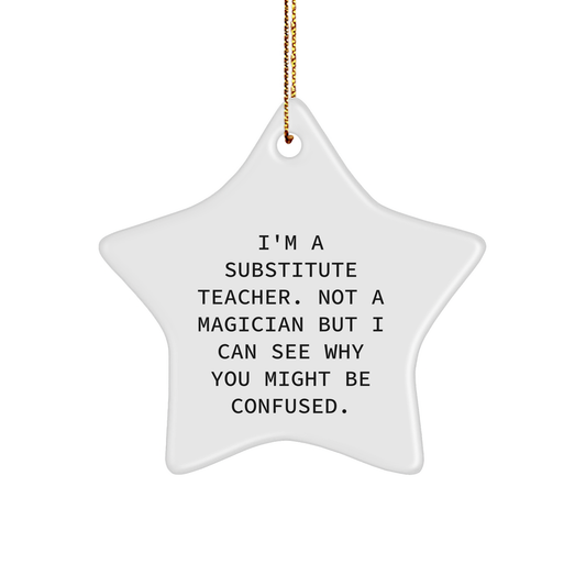 Funny Substitute Teacher Star Ornament, 'I'm A Substitute Teacher. Not A Magician But I Can See Why You Might Be Confused.' Gifts for Substitute Teachers from Friends