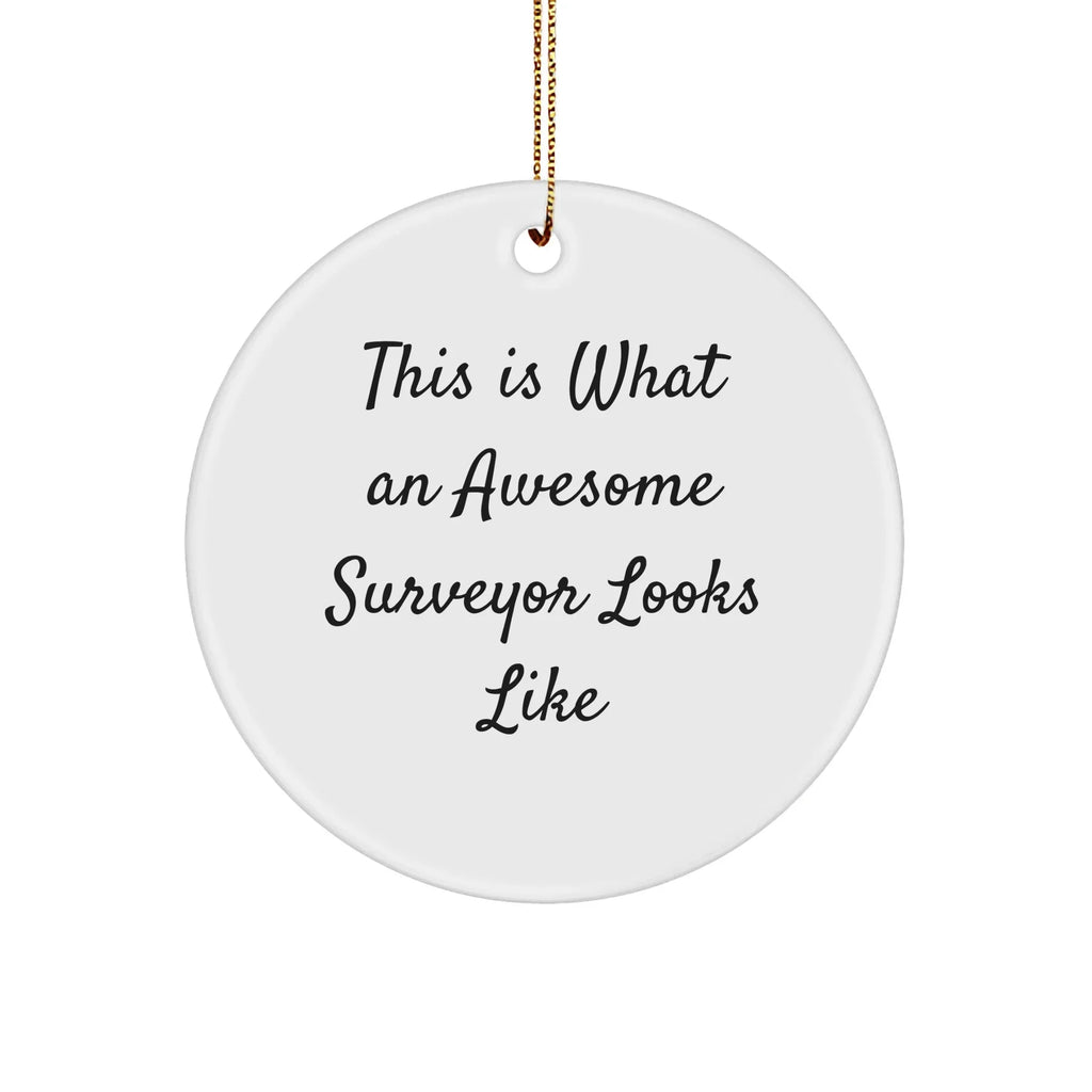 Funny Surveyor Gifts from Friends, 'This Is What An Awesome Surveyor Looks Like', Circle Ornament, White, Christmas Unique Gifts
