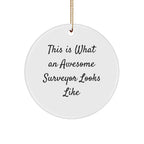 Funny Surveyor Gifts from Friends, 'This Is What An Awesome Surveyor Looks Like', Circle Ornament, White, Christmas Unique Gifts