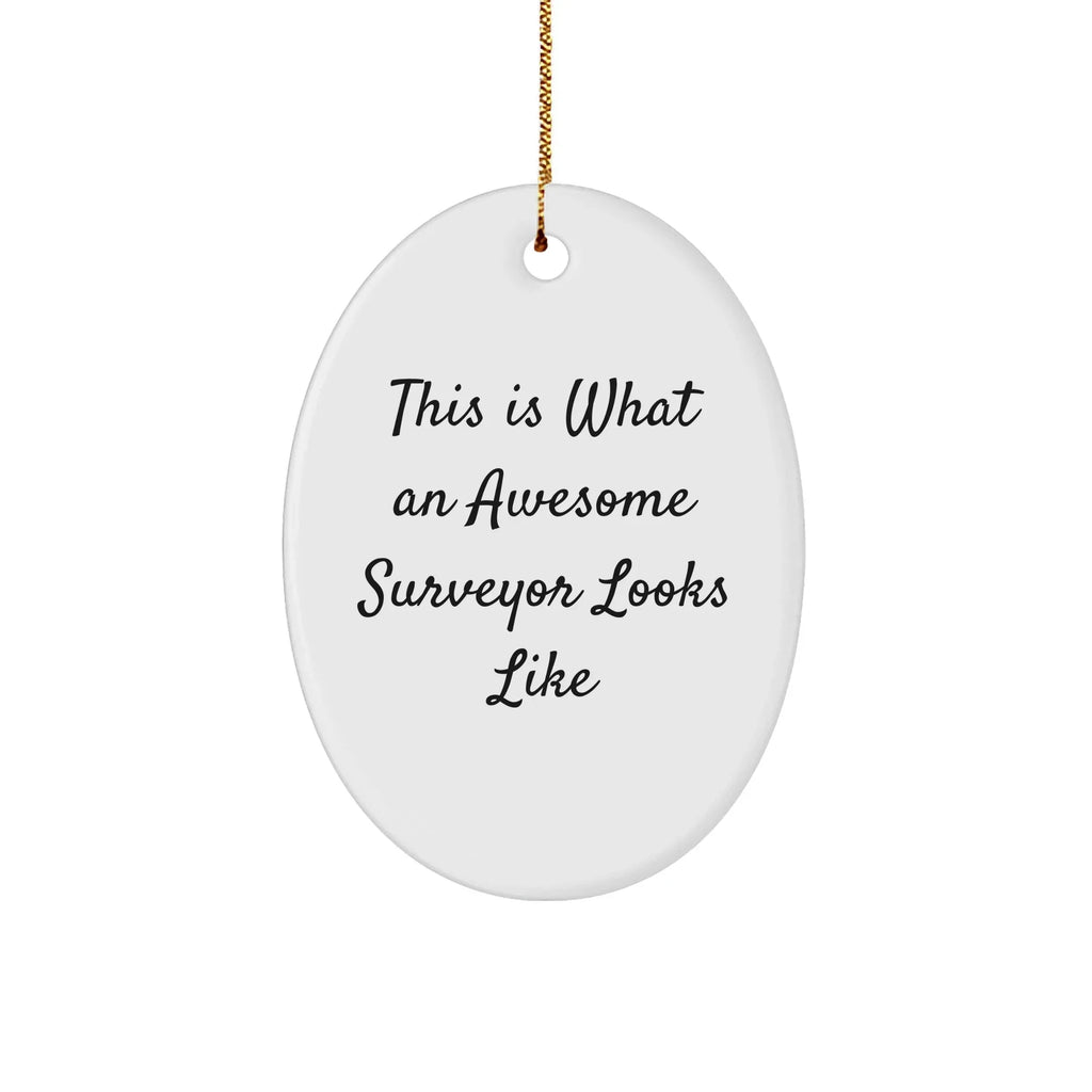 Funny Surveyor Gifts from Men to Surveyor Friends, Oval Ornament This Is What An Awesome Surveyor Looks Like, Christmas Unique Gifts