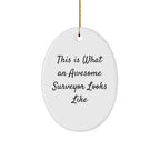 Funny Surveyor Gifts from Men to Surveyor Friends, Oval Ornament This Is What An Awesome Surveyor Looks Like, Christmas Unique Gifts
