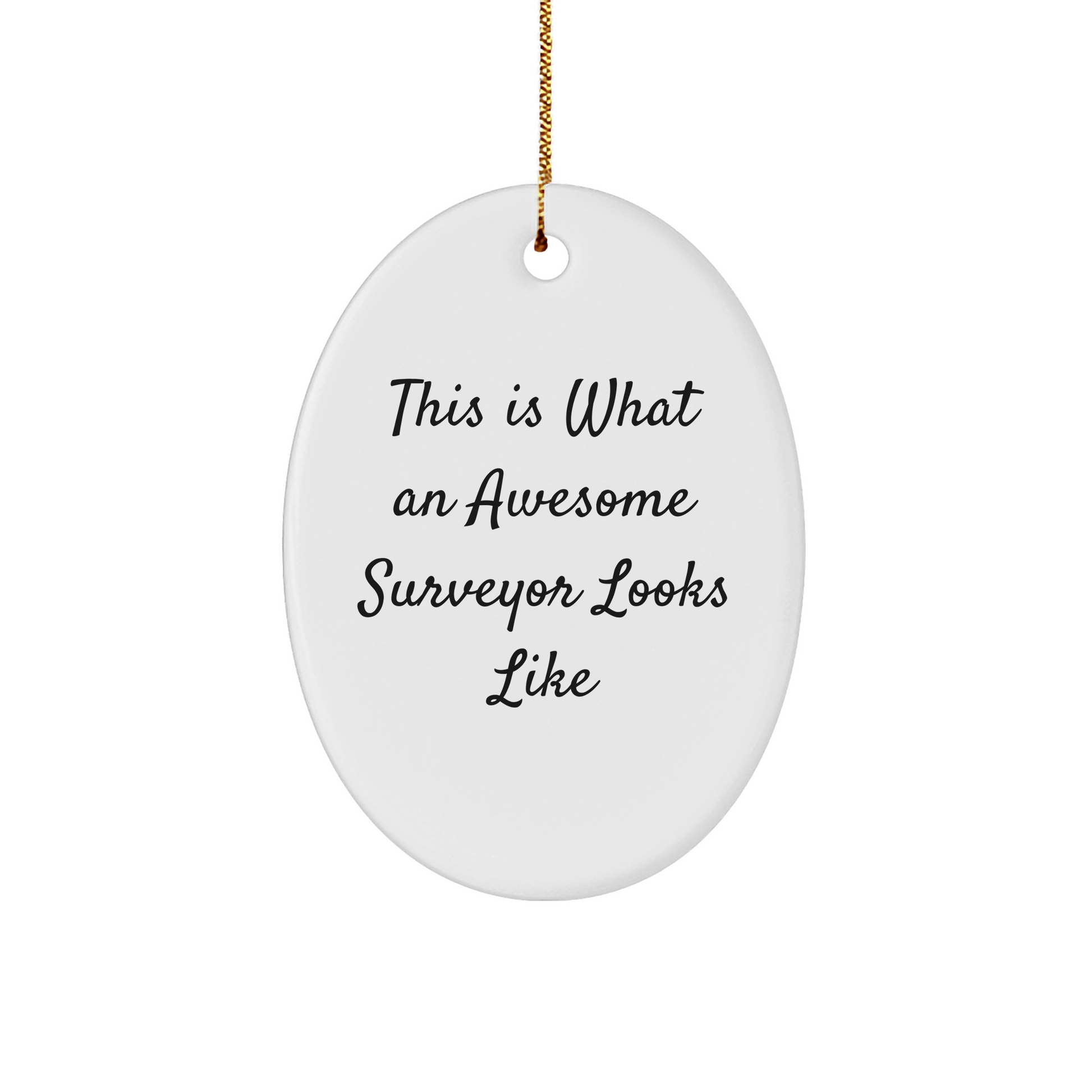 Funny Surveyor Gifts from Men to Surveyor Friends, Oval Ornament This Is What An Awesome Surveyor Looks Like, Christmas Unique Gifts