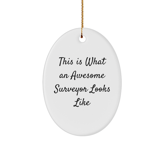 Funny Surveyor Gifts from Men to Surveyor Friends, Oval Ornament This Is What An Awesome Surveyor Looks Like, Christmas Unique Gifts