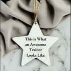Funny Trainer Gifts from Friends - This Is What An Awesome Trainer Looks Like Star Ornament, Perfect for Christmas