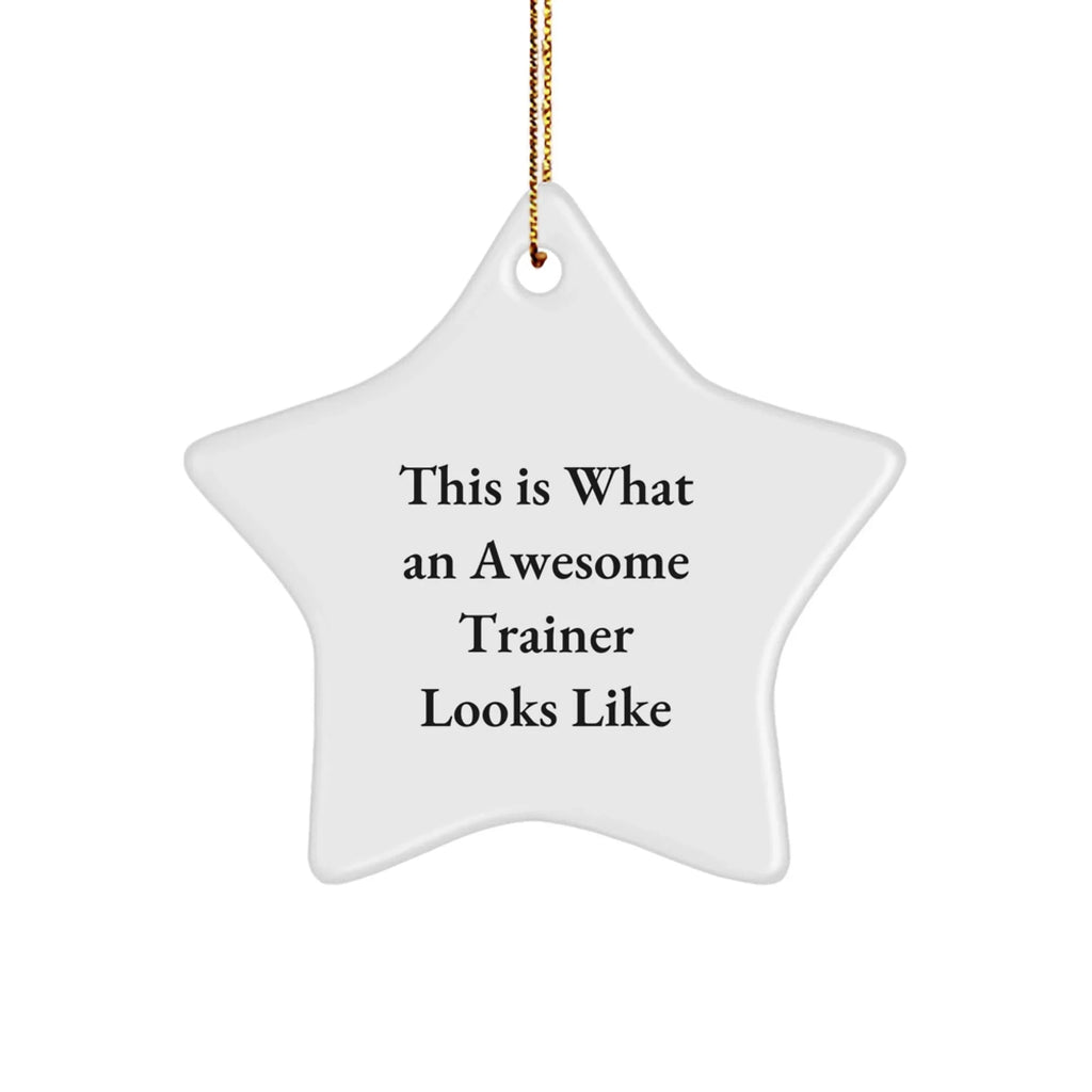 Funny Trainer Gifts from Friends - This Is What An Awesome Trainer Looks Like Star Ornament, Perfect for Christmas