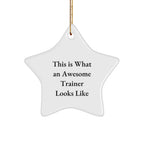 Funny Trainer Gifts from Friends - This Is What An Awesome Trainer Looks Like Star Ornament, Perfect for Christmas