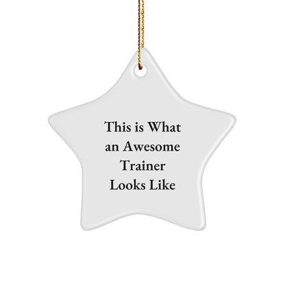 Funny Trainer Gifts from Friends - This Is What An Awesome Trainer Looks Like Star Ornament, Perfect for Christmas