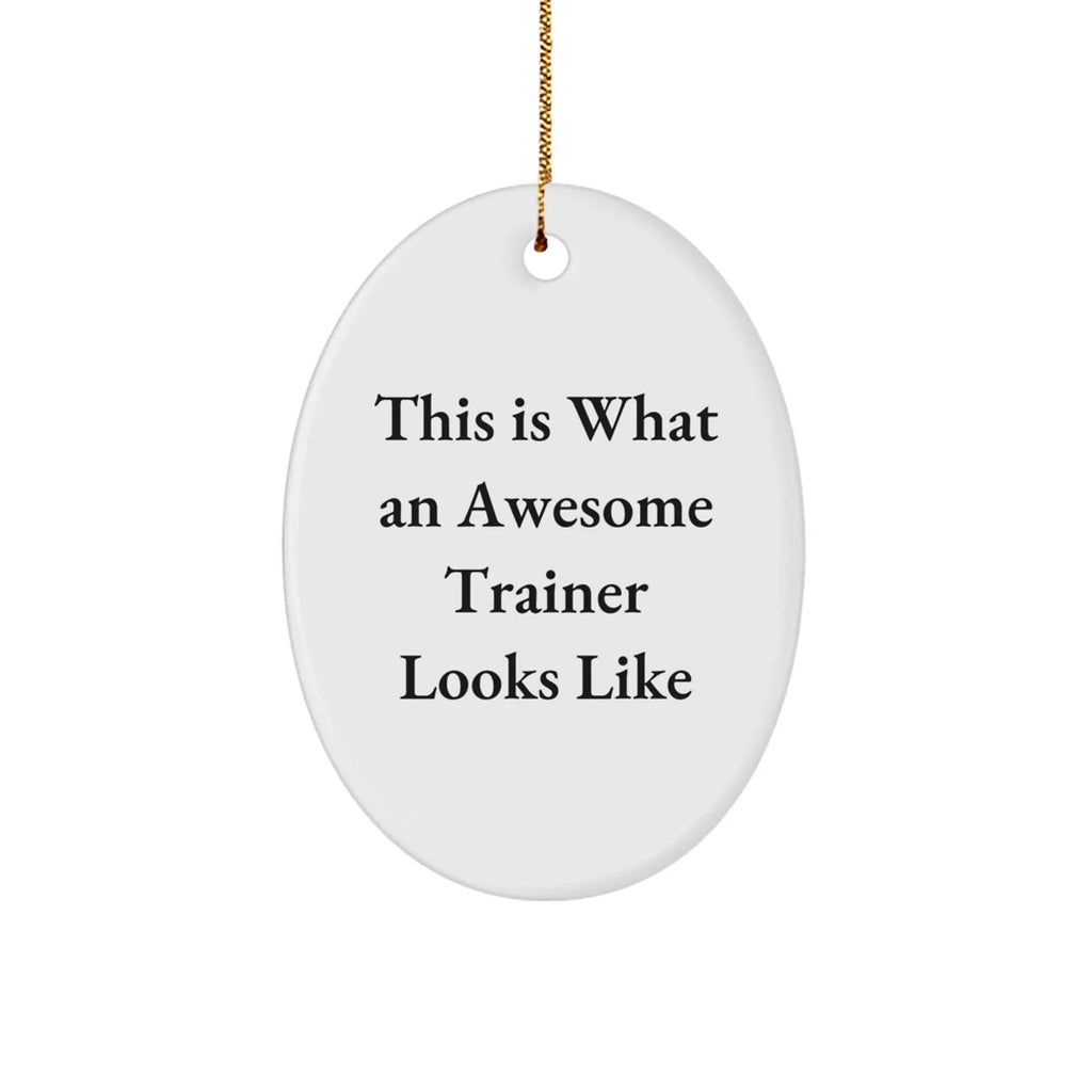 Funny Trainer Gifts from Friends for Trainers, This Is What An Awesome Trainer Looks Like Oval Ornament, Christmas Unique Trainer Decorations