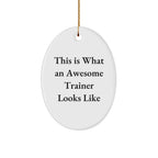 Funny Trainer Gifts from Friends for Trainers, This Is What An Awesome Trainer Looks Like Oval Ornament, Christmas Unique Trainer Decorations