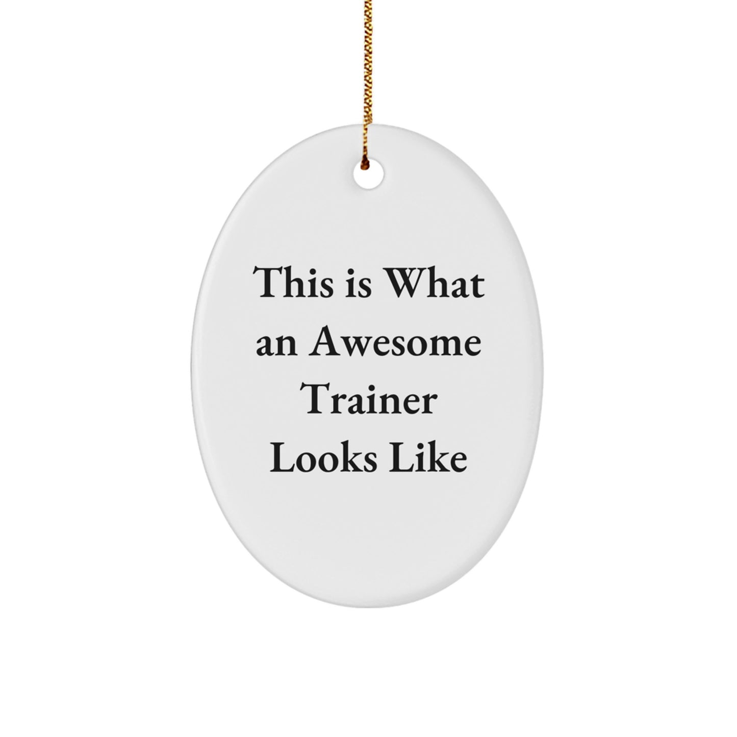 Funny Trainer Gifts from Friends for Trainers, This Is What An Awesome Trainer Looks Like Oval Ornament, Christmas Unique Trainer Decorations