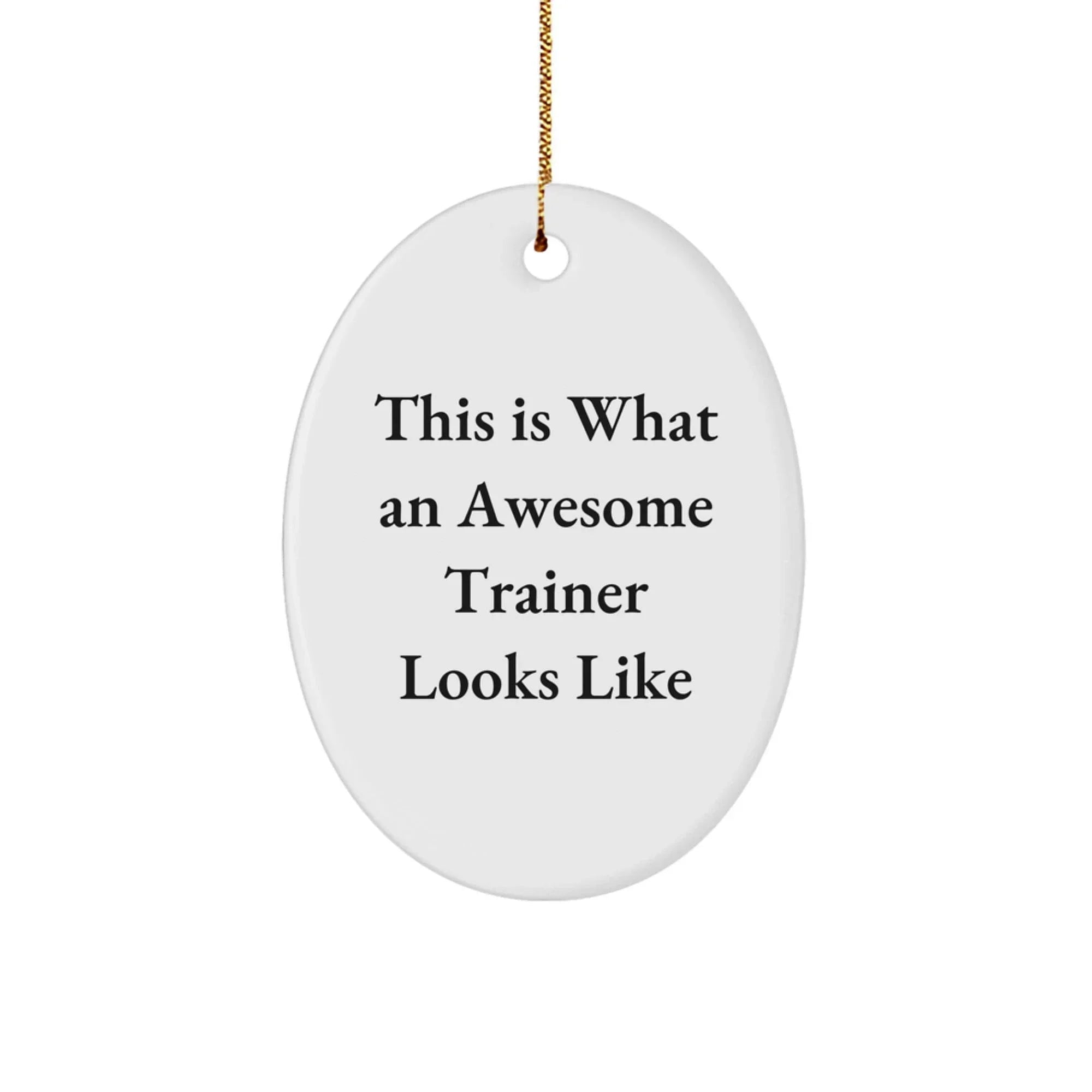 Funny Trainer Gifts from Friends for Trainers, This Is What An Awesome Trainer Looks Like Oval Ornament, Christmas Unique Trainer Decorations