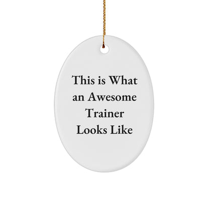 Funny Trainer Gifts from Friends for Trainers, This Is What An Awesome Trainer Looks Like Oval Ornament, Christmas Unique Trainer Decorations