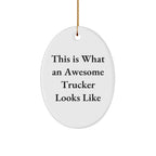 Funny Trucker Gifts from Men - This Is What An Awesome Trucker Looks Like Oval Ornament for Christmas