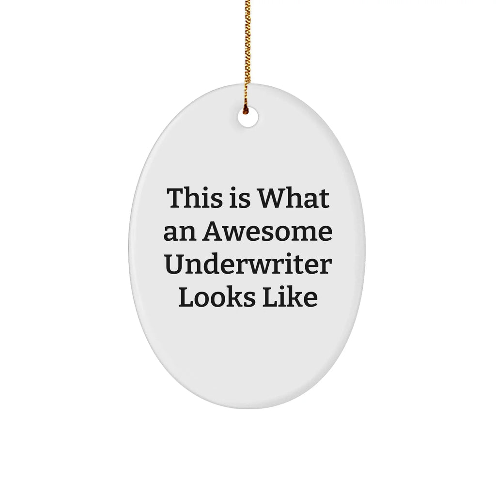 Funny Underwriter Gifts, This Is What An Awesome Looks Like, Oval Ornament, Christmas Unique Gifts from Friends to Underwriter