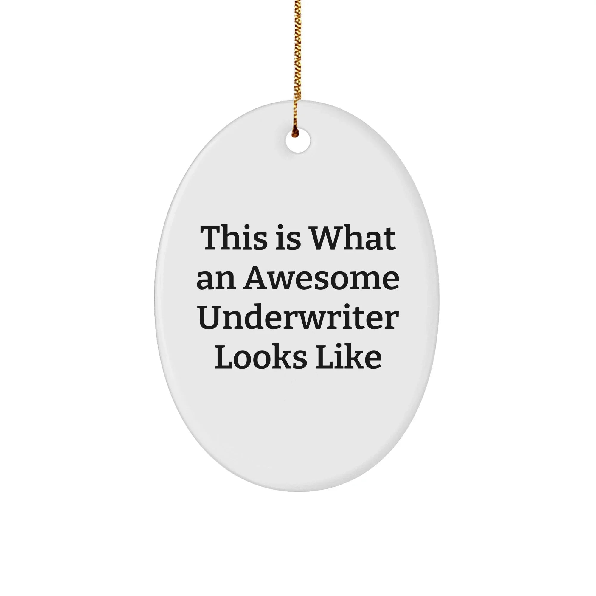 Funny Underwriter Gifts, This Is What An Awesome Looks Like, Oval Ornament, Christmas Unique Gifts from Friends to Underwriter