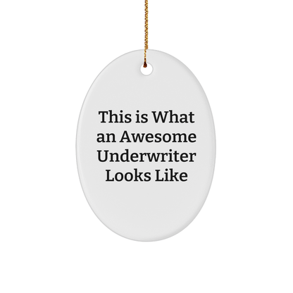 Funny Underwriter Gifts, This Is What An Awesome Looks Like, Oval Ornament, Christmas Unique Gifts from Friends to Underwriter