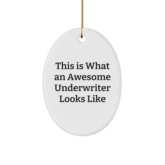 Funny Underwriter Gifts, This Is What An Awesome Looks Like, Oval Ornament, Christmas Unique Gifts from Friends to Underwriter