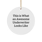 Funny Underwriter Gifts, This Is What An Awesome Underwriter Looks Like, White Circle Ornament for Christmas, Gifts from Men to Underwriter, Gifts for Underwriter's Office