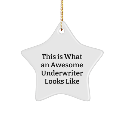 Funny Underwriter Quotes Gifts from Men to Friends Star Ornament for Christmas