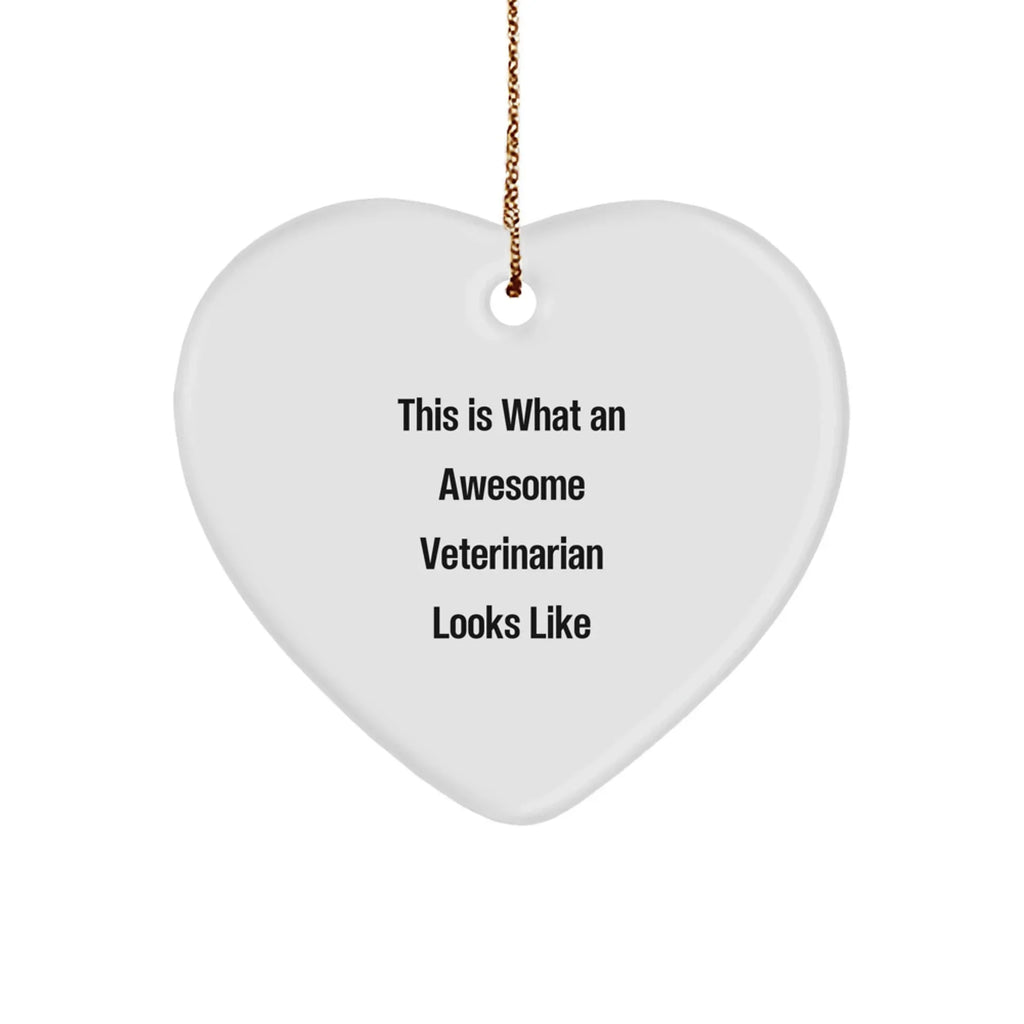 Funny Veterinarian Gifts from Friends, This Is What Awesome Looks Like, Heart Ornament for Christmas