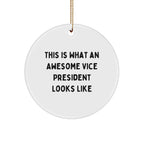 Funny Vice President Gifts from Friends for Men - This Is What An Awesome Vice President Looks Like Circle Ornament for Christmas Decorations