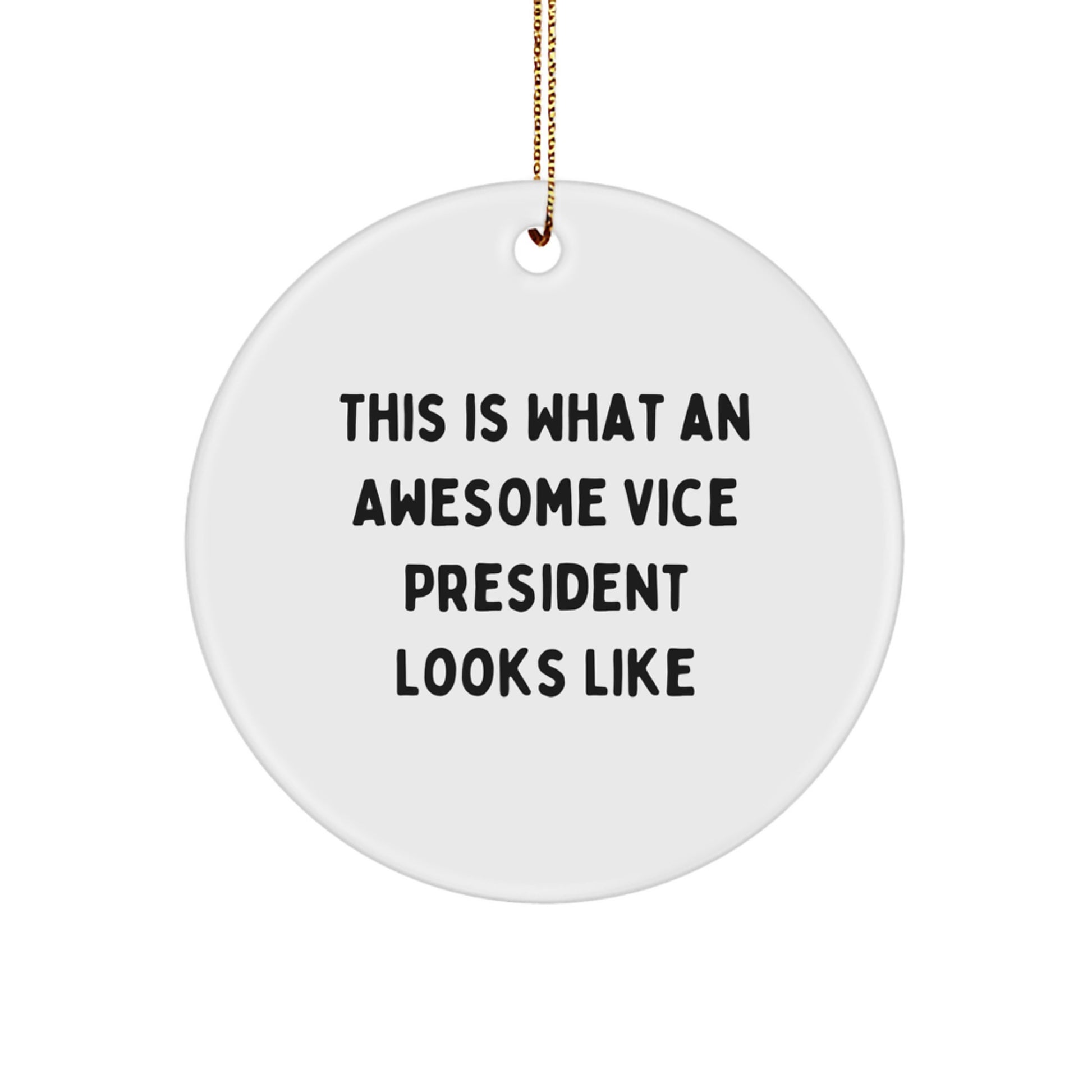 Funny Vice President Gifts from Friends for Men - This Is What An Awesome Vice President Looks Like Circle Ornament for Christmas Decorations