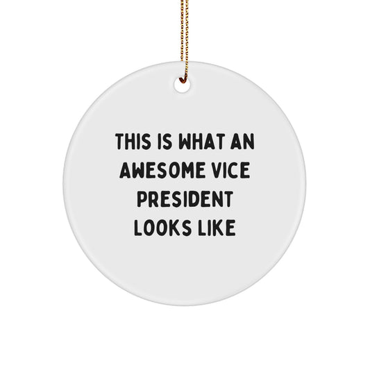 Funny Vice President Gifts from Friends for Men - This Is What An Awesome Vice President Looks Like Circle Ornament for Christmas Decorations