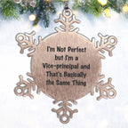 Funny Vice-Principal Gifts, Inspirational Quote Snowflake Ornament, Gifts from Men to Vice-Principal, Unique Christmas Unique Gifts for Vice-Principal