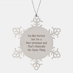 Funny Vice-Principal Gifts, Inspirational Quote Snowflake Ornament, Gifts from Men to Vice-Principal, Unique Christmas Unique Gifts for Vice-Principal