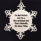 Funny Vice-Principal Gifts, Inspirational Quote Snowflake Ornament, Gifts from Men to Vice-Principal, Unique Christmas Unique Gifts for Vice-Principal