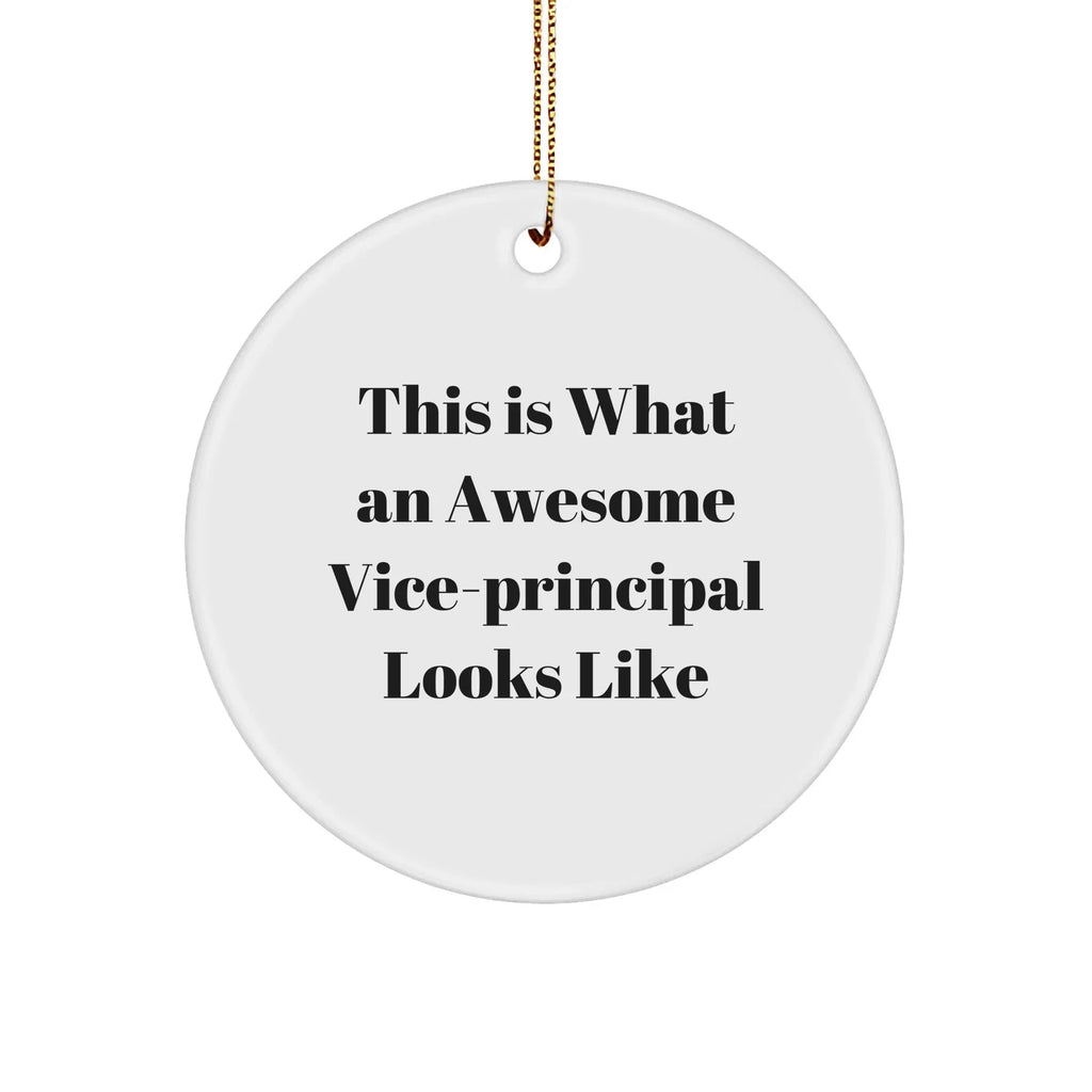 Funny Vice-Principal Gifts from Friends - This Is What An Awesome Vice-Principal Looks Like, Circle Ornament for Vice-Principal, Christmas Unique Gifts for Vice-Principal