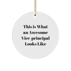 Funny Vice-Principal Gifts from Friends - This Is What An Awesome Vice-Principal Looks Like, Circle Ornament for Vice-Principal, Christmas Unique Gifts for Vice-Principal