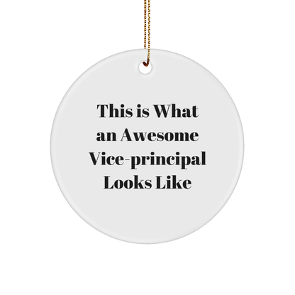 Funny Vice-Principal Gifts from Friends - This Is What An Awesome Vice-Principal Looks Like, Circle Ornament for Vice-Principal, Christmas Unique Gifts for Vice-Principal
