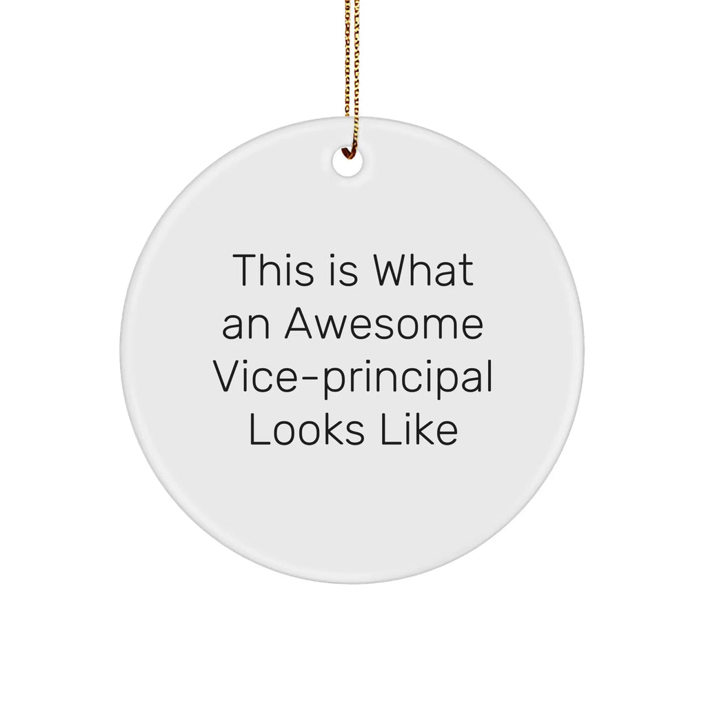 Funny Vice-Principal Gifts from Friends for Christmas Unique Circle Ornaments - This Is What An Awesome Vice-Principal Looks Like