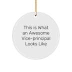 Funny Vice-Principal Gifts from Friends for Christmas Unique Circle Ornaments - This Is What An Awesome Vice-Principal Looks Like