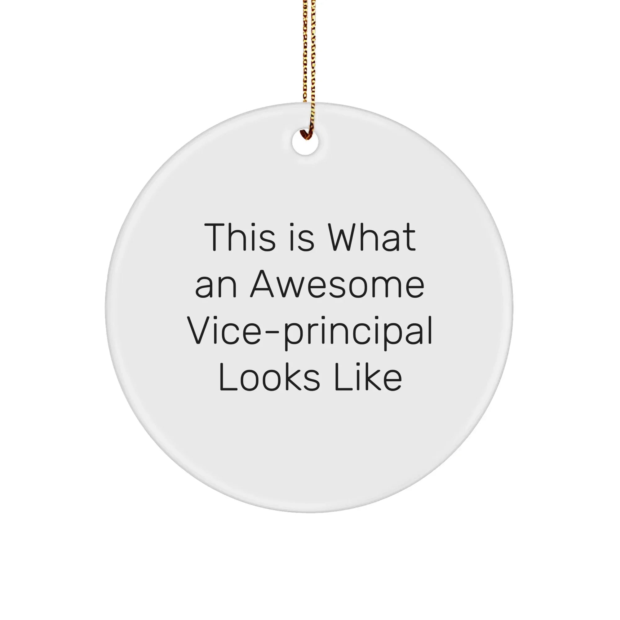 Funny Vice-Principal Gifts from Friends for Christmas Unique Circle Ornaments - This Is What An Awesome Vice-Principal Looks Like