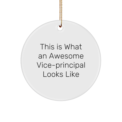 Funny Vice-Principal Gifts from Friends for Christmas Unique Circle Ornaments - This Is What An Awesome Vice-Principal Looks Like