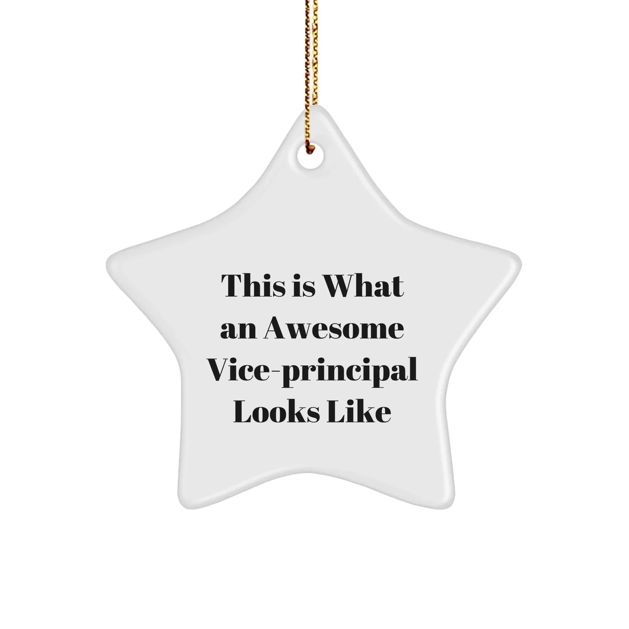 Funny Vice-Principal Gifts from Friends for This Is What An Awesome Vice-Principal Looks Like Star Ornament, Christmas Unique Gifts for Vice-Principal